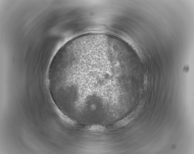 X0000093761466200711131137