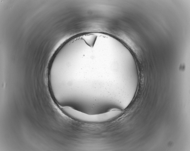 X0000093761468200711131137