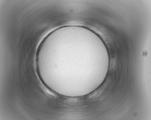 X0000093761470200711131137