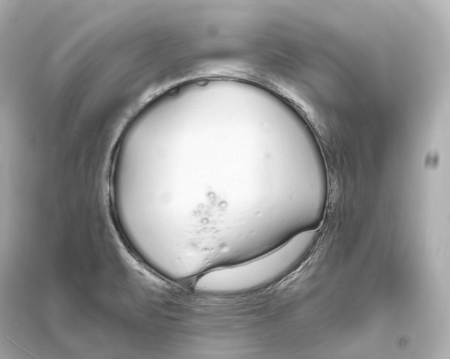 X0000093761471200711131137