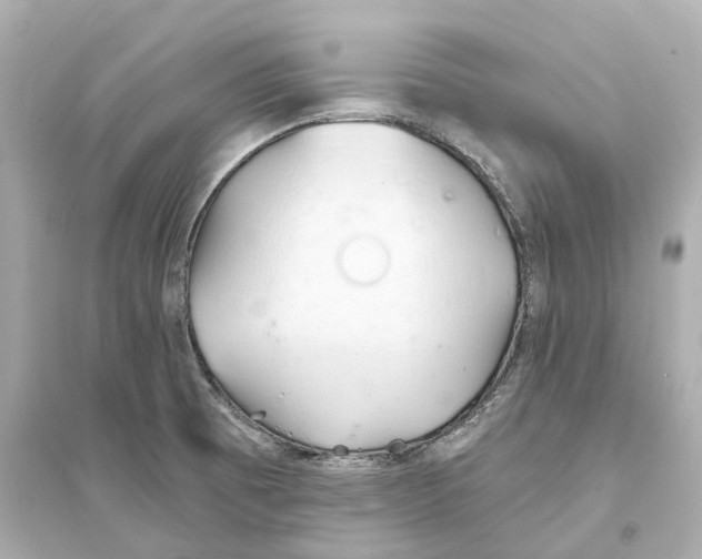 X0000093761473200711131137