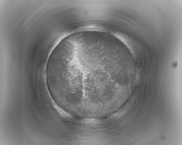 X0000093761474200711131137