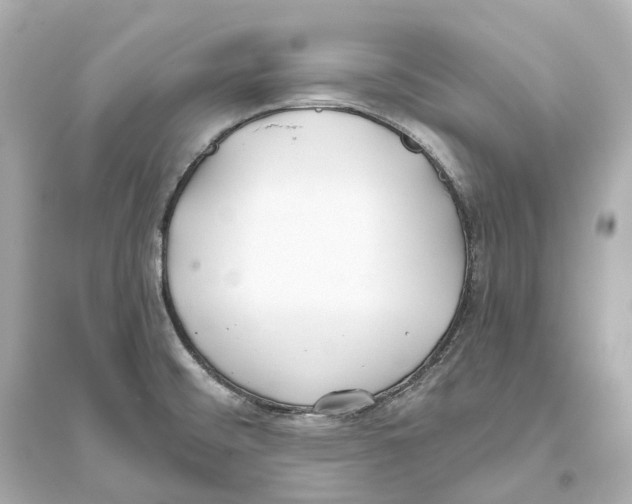 X0000093761476200711131136