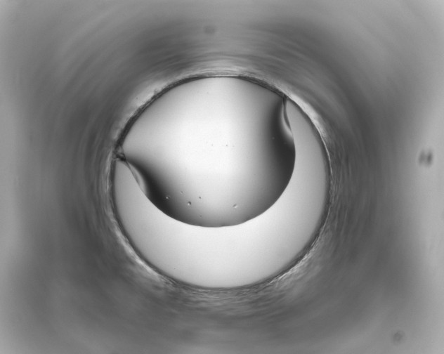 X0000093761477200711131136