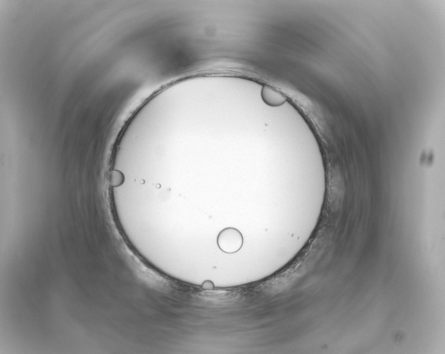 X0000093761478200711131136