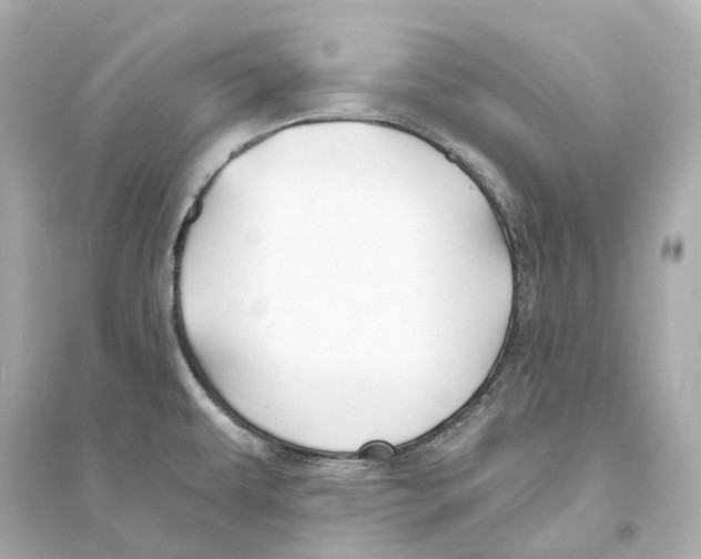 X0000093761479200711131136