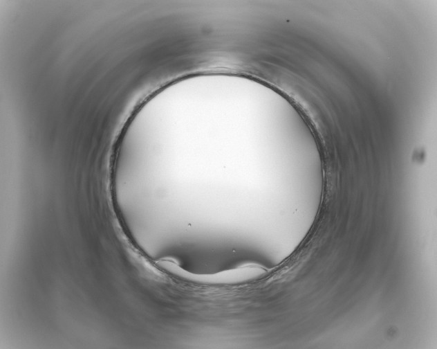 X0000093761480200711131136