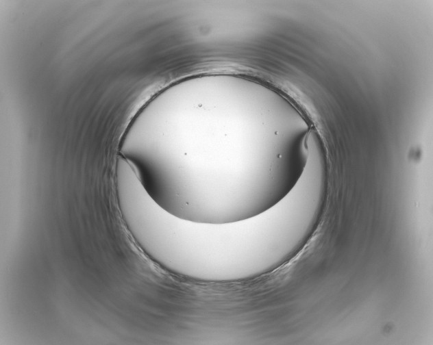 X0000093761481200711131136