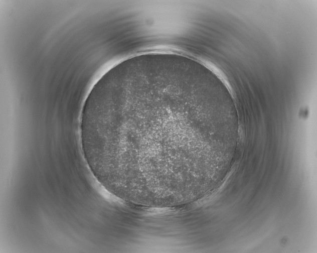 X0000093761482200711131136