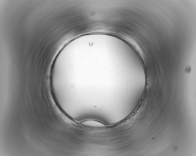 X0000093761483200711131136