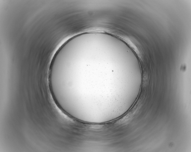 X0000093761484200711131136