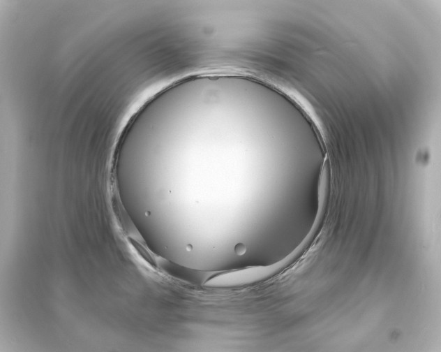 X0000093761485200711131136