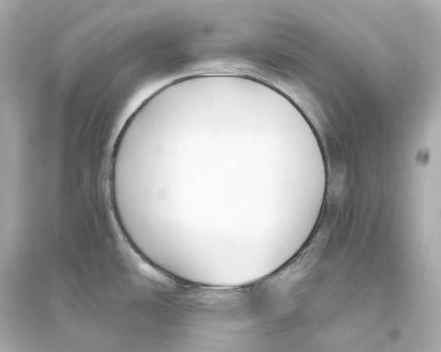 X0000093761486200711131136