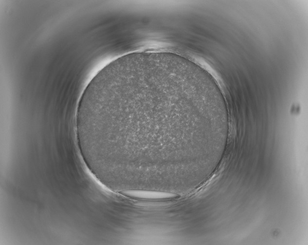 X0000093761487200711131136