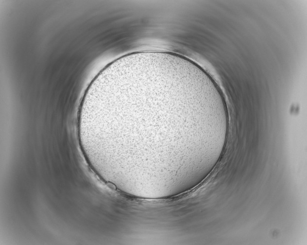 X0000093761488200711131136