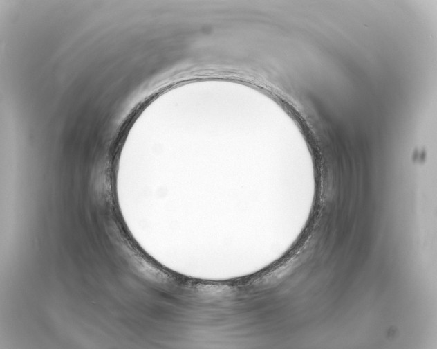 X0000093761498200711131136