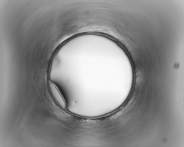 X0000093761505200711131136