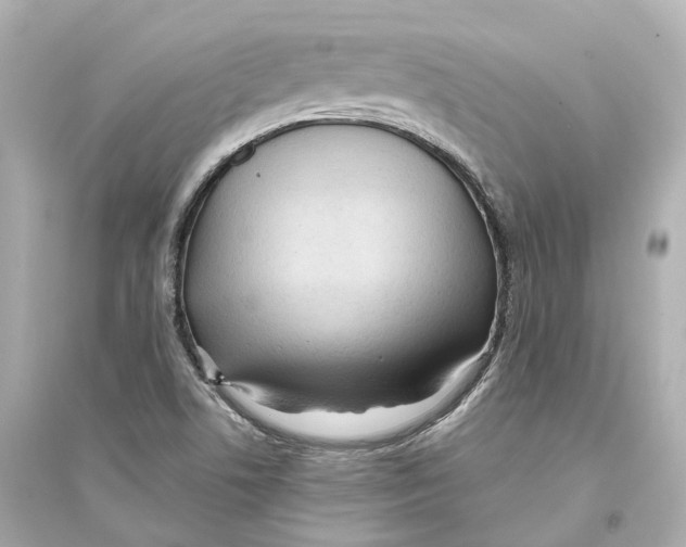 X0000093761506200711131136