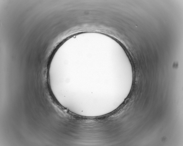 X0000093761507200711131136