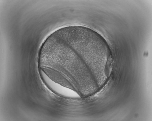 X0000093761508200711131136