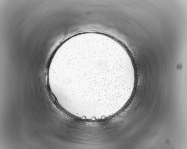 X0000093761509200711131136