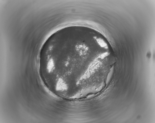 X0000093761515200711131136