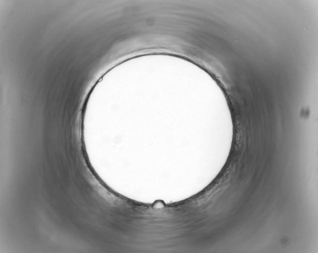 X0000093761516200711131136