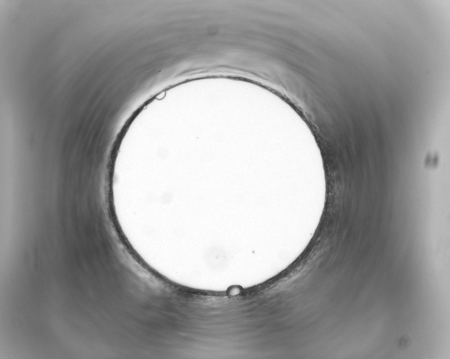 X0000093761518200711131136