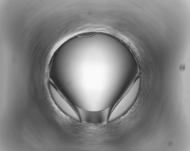 X0000093761520200711131136