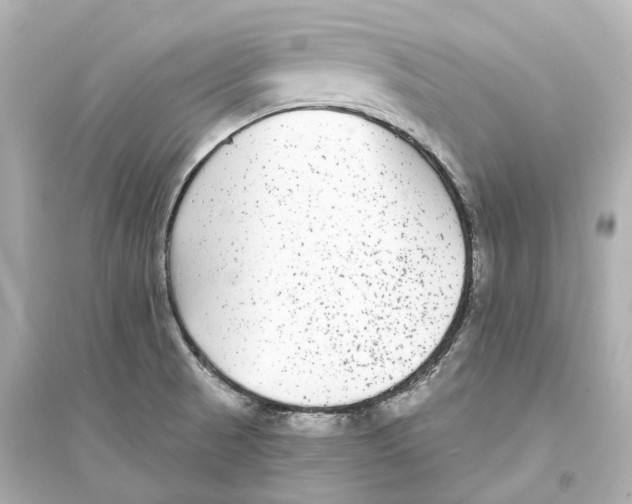 X0000093761521200711131136