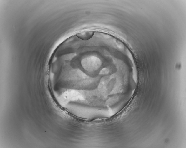 X0000093761522200711131136