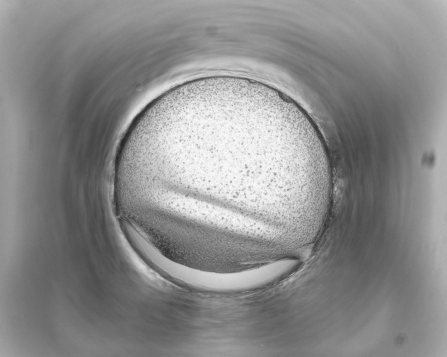 X0000093761523200711131136