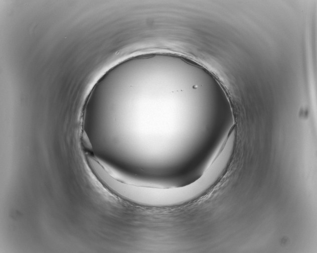 X0000093761524200711131136