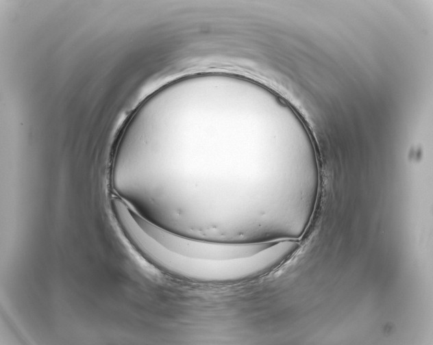 X0000093761525200711131136