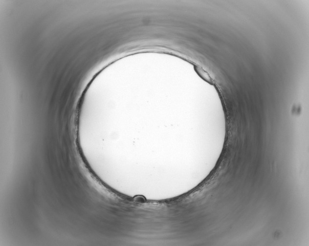 X0000093761526200711131136