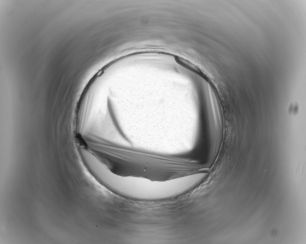 X0000093761527200711131136