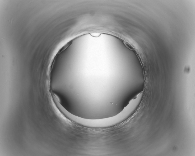 X0000093761528200711131136