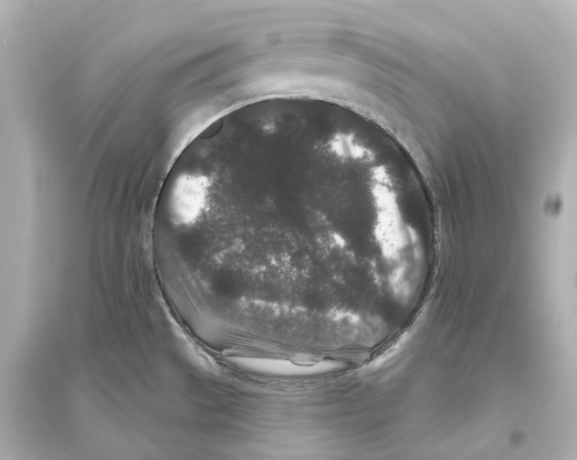 X0000093761529200711131136