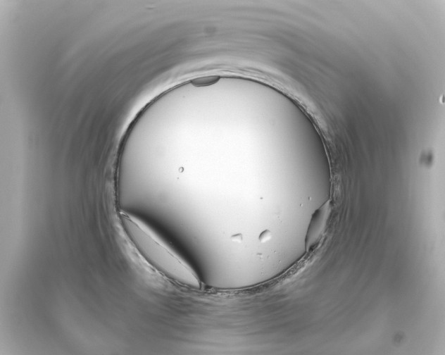 X0000093761530200711131136