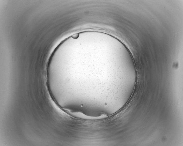 X0000093761531200711131136