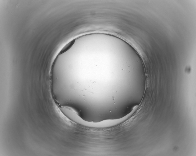 X0000093761532200711131136