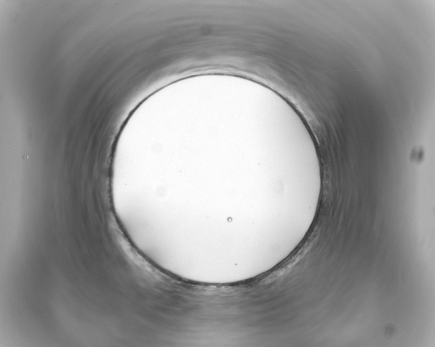 X0000093761534200711131136