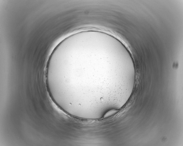 X0000093761535200711131136