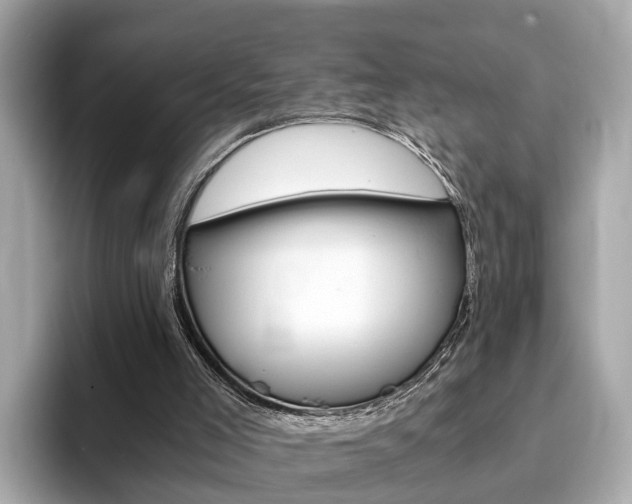 X0000093770005200710160906