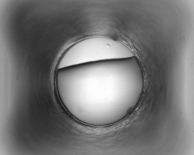 X0000093770006200710160906