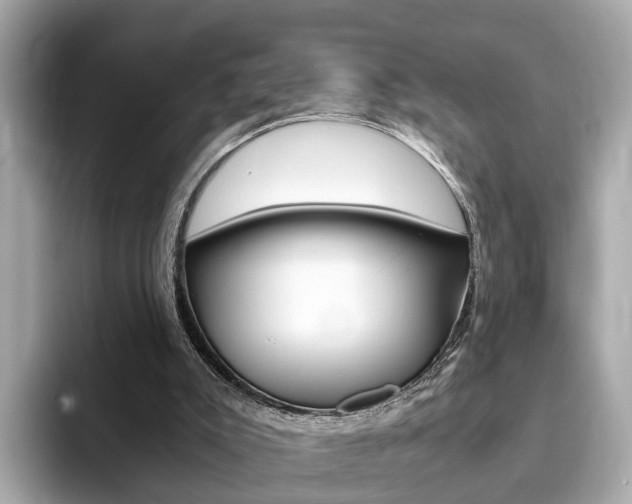 X0000093770007200710160906