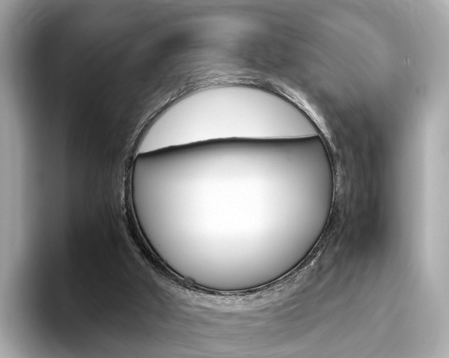 X0000093770010200710160905