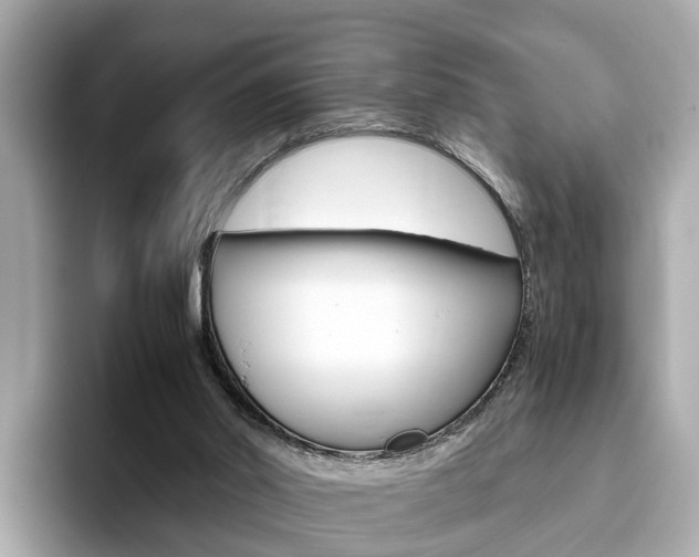 X0000093770014200710160905