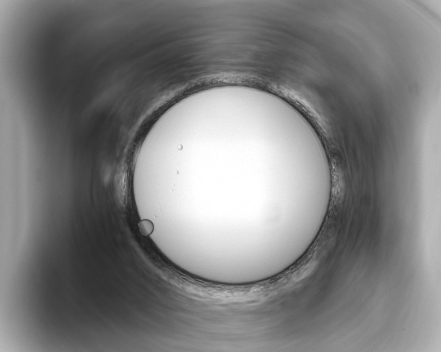 X0000093770016200710160905