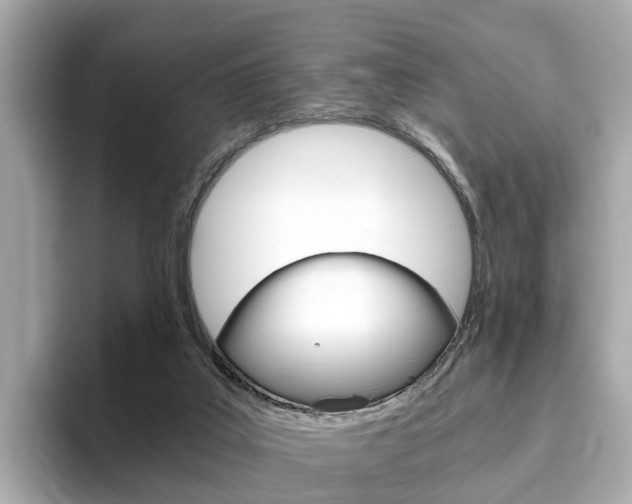 X0000093770019200710160905